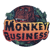 company-history-2